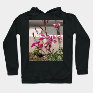 Columbine Flower Hoodie